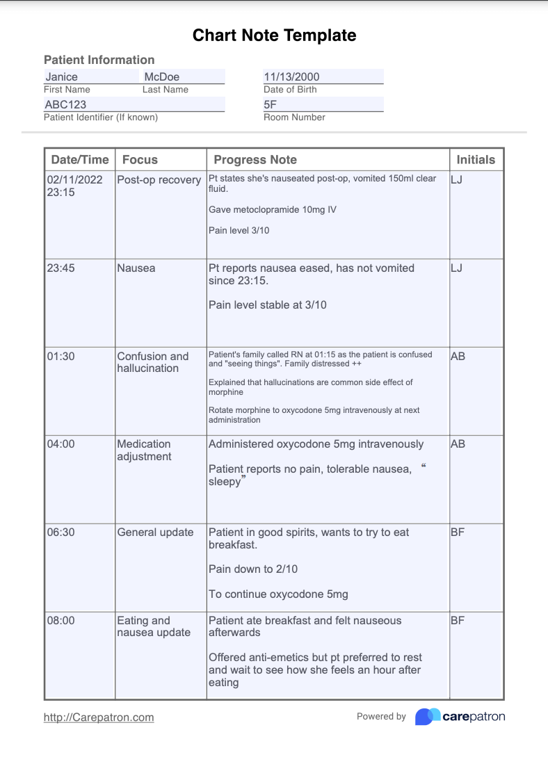 Patient Chart Template